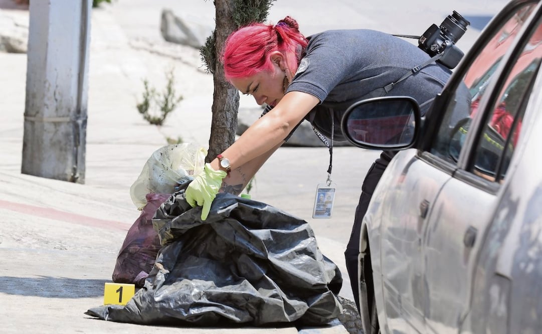 Autoridades recibieron tres llamados para alertar de bultos con extremidades de un cadáver. (22/04/2025) Foto: Francisco Rodríguez | El Universal