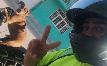 Nokros, el perro repartidor de comida que ha conmocionado las redes