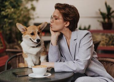 5 restaurantes pet friendly para celebrar el día del perro en la CDMX