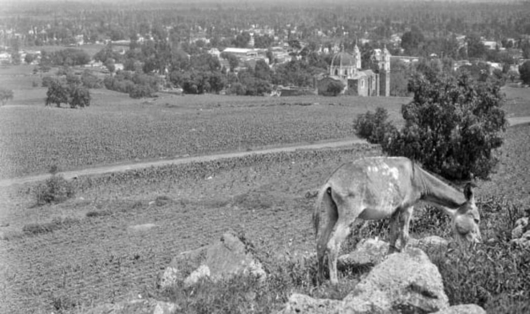 El archivo que guarda la historia de Iztapalapa