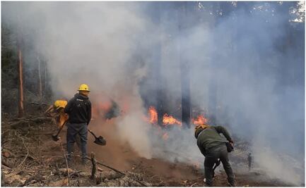 Controlan en 75% incendio forestal en Parque Nacional Izta-Popo en Amecameca