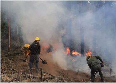 Controlan en 75% incendio forestal en Parque Nacional Izta-Popo en Amecameca