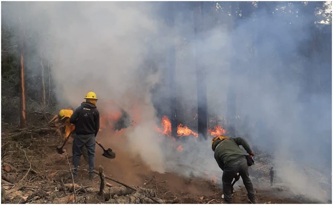 Cuatro personas han perdido la vida tras intentar detener el incendio en el municipio de Donato Guerra. Foto: EL UNIVERSAL