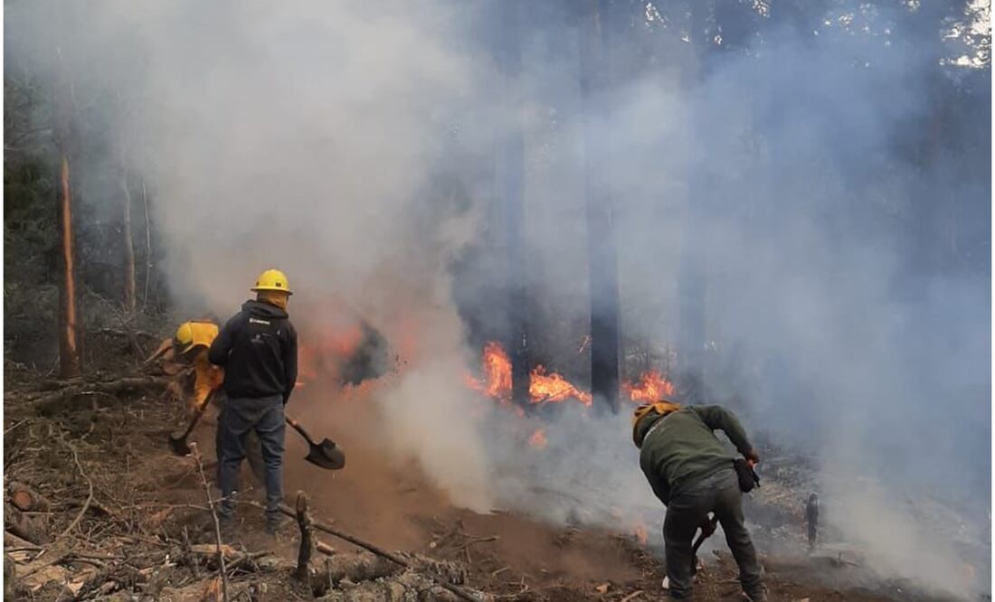 En las labores de combate han participado más de 250 brigadistas. Foto: Especial