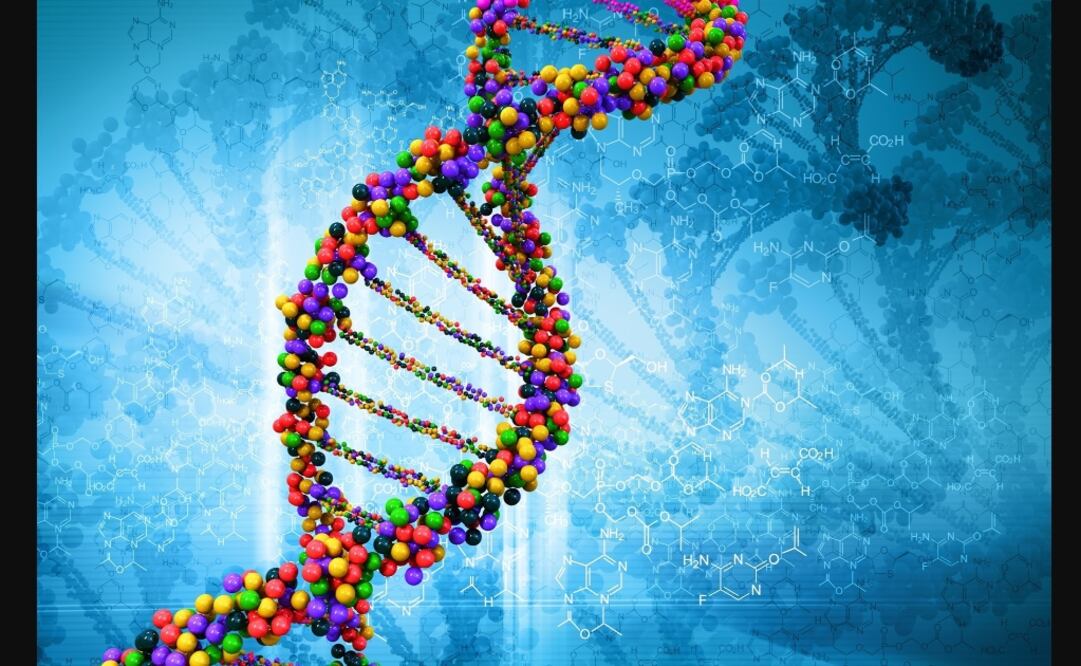 Tenemos de 20 mil a 25 mil genes y muchos aún son desconocidos. (FOTO: Especial)