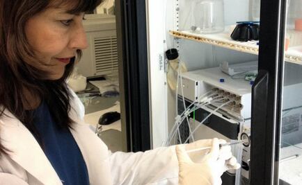 Mexicana será parte de la Academia Nacional de Ciencias de EU