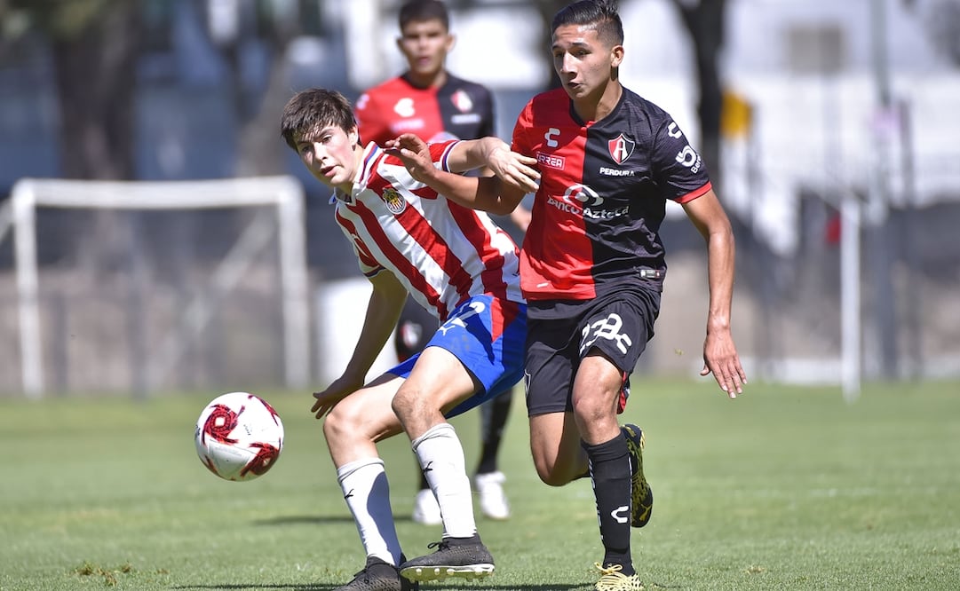 Fuerzas básicas, inversión millonaria