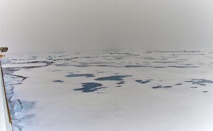 El hielo marino que se funde favorece más vida en el océano