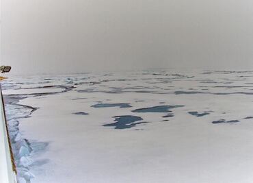 El hielo marino que se funde favorece más vida en el océano