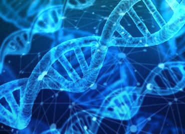 Advierten que túnel de protones puede causar mutaciones en nuestro ADN