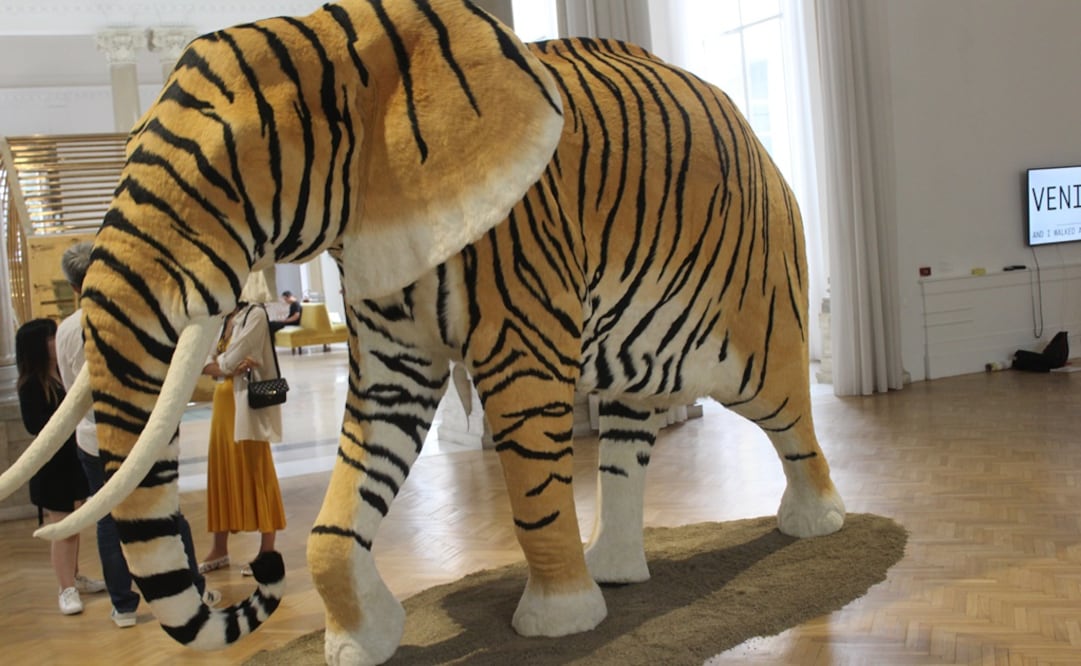 Un gran elefante con piel de tigre, del artista Tian Longyu, recibe al visitante de la muestra abierta en la Galeria de Arte Moderno de Roma. Foto: Notimex