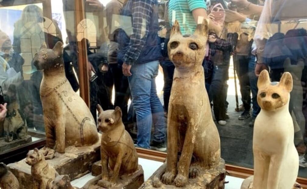 Hallan momias de animales en Egipto