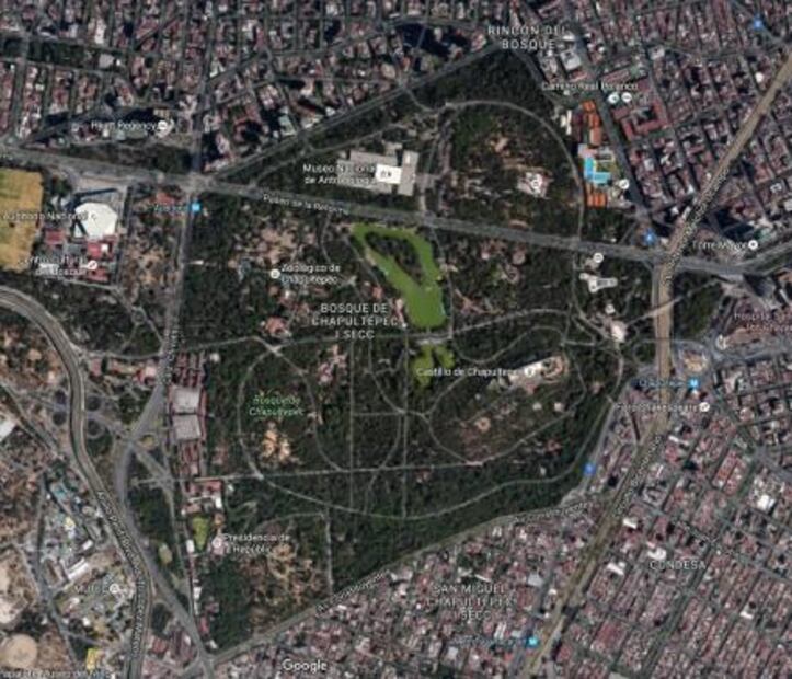 Cuando se iba a pescar al lago de Chapultepec