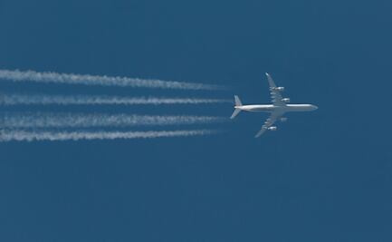 Ruido de aviones altera las vidas humana y animal
