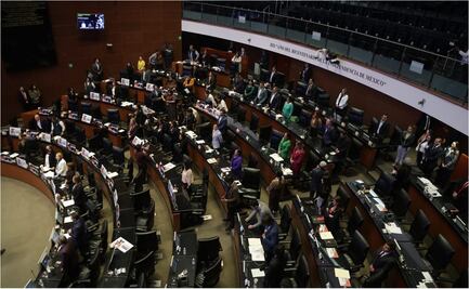 Senado aprueba reforma hecha por Adán Augusto para reducir votos particulares; busca agilizar discusión