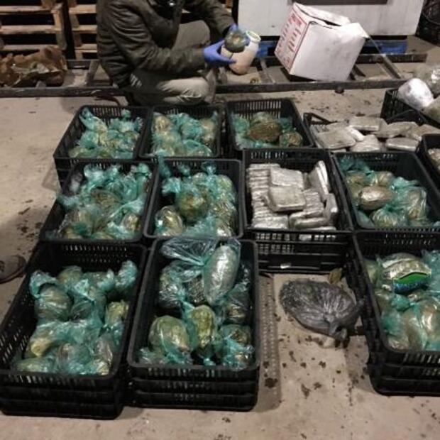 PGR decomisa frutas y verduras rellenas de marihuana en Jalisco