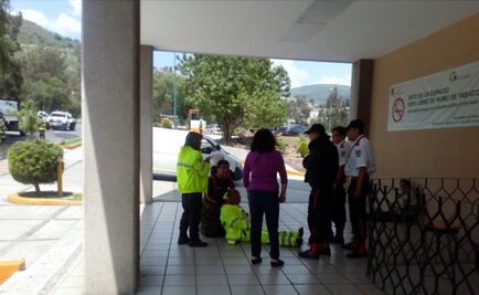 Abejas atacan a trabajadores de panteón Jardines del Recuerdo
