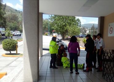 Abejas atacan a trabajadores de panteón Jardines del Recuerdo