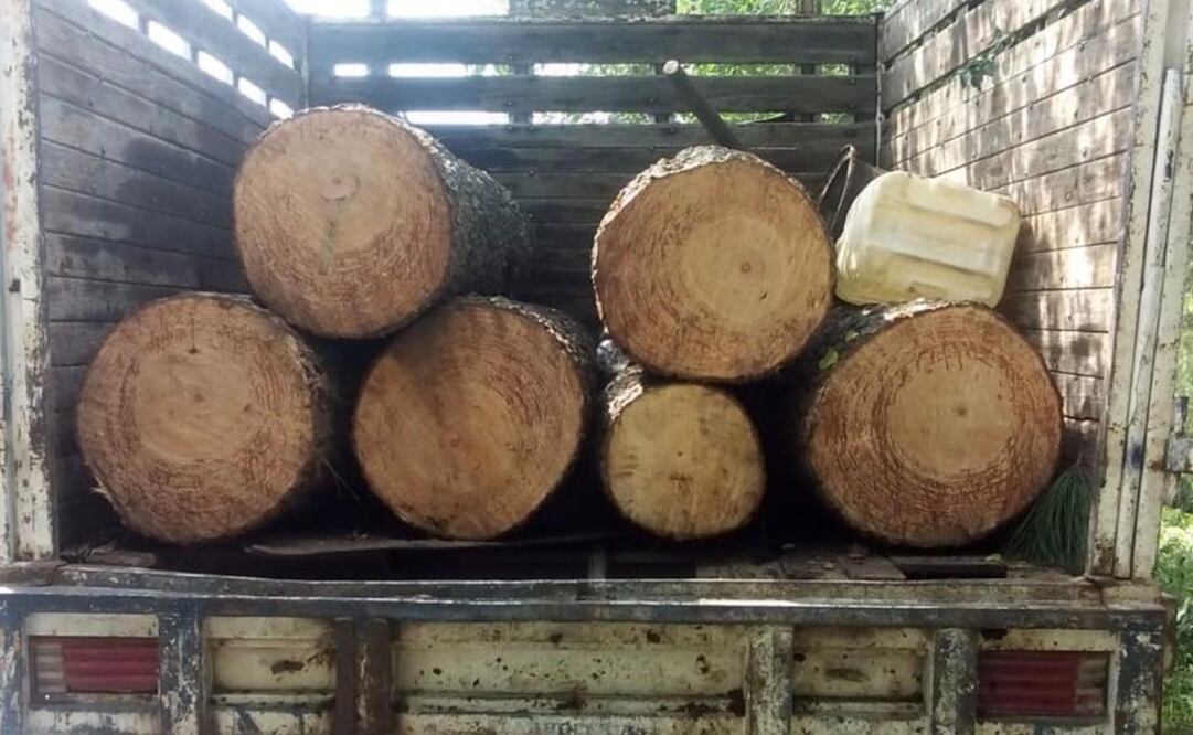 Los tripulantes no contaban con algún documento que acreditara la legal procedencia del producto forestal / Especial