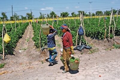Piden asegurar a adolescentes trabajadores