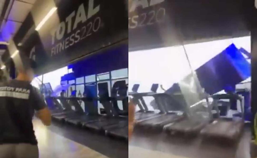 En lo que va del temporal se ha registrado la caída de más de 300 árboles en la Zona Metropolitana de Guadalajara, casi dos centenares de ellos solo en el municipio de Zapopan. Foto: Captura de video