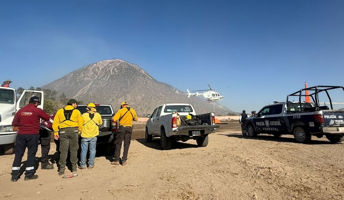 Nueve incendios forestales en Puebla movilizan brigadas; cuatro siniestros permanecen activos. Foto: Gobierno del Estado