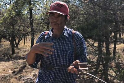 Así se cazan los alacranes en la sierra