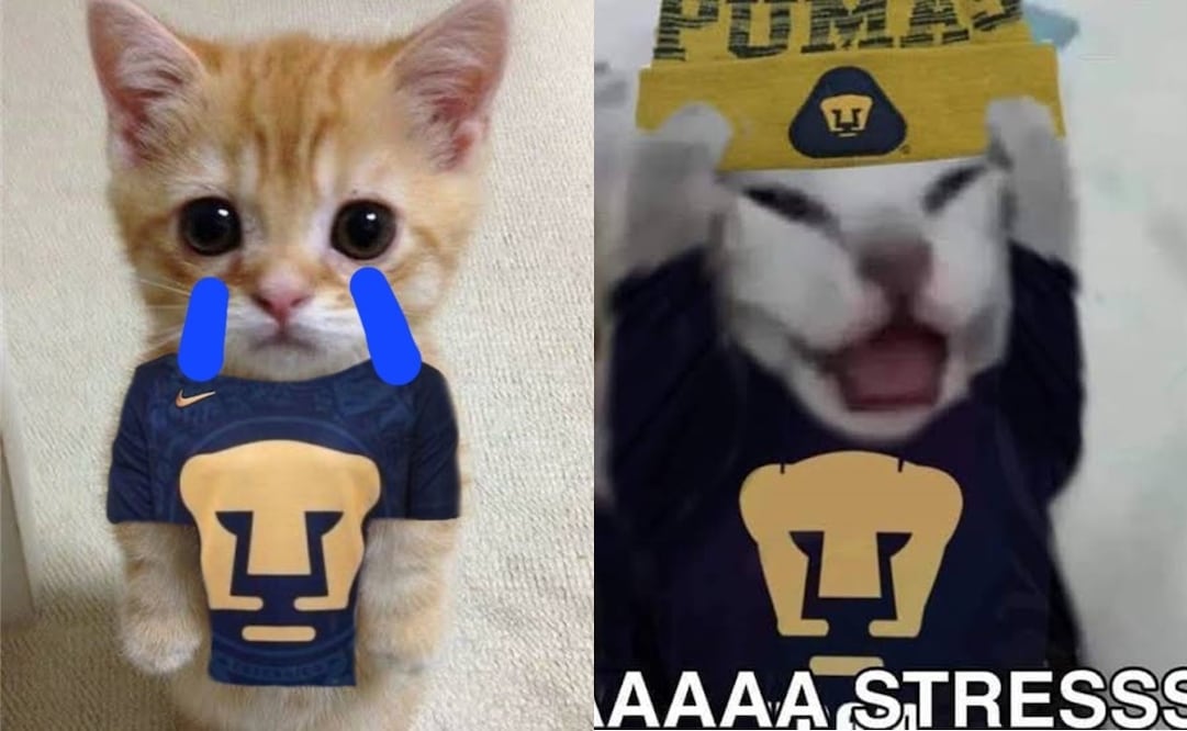 Pumas se roba los mejores memes al perder contra el Atlético de San Luis