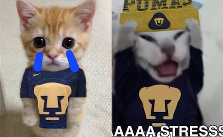 Pumas se roba los mejores memes al perder contra el Atlético de San Luis