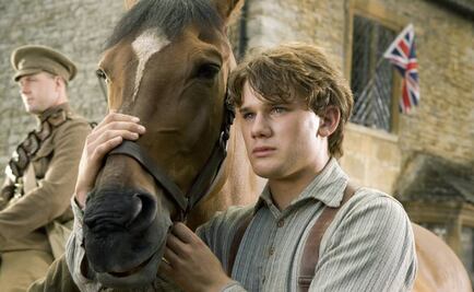 Los caballos pueden reconocer las emociones humanas