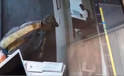 Adulto mayor es captado robando en escuela de Satélite