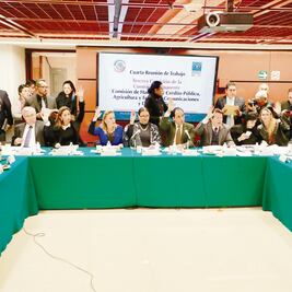 Morena impulsa un periodo extra para la Guardia Nacional