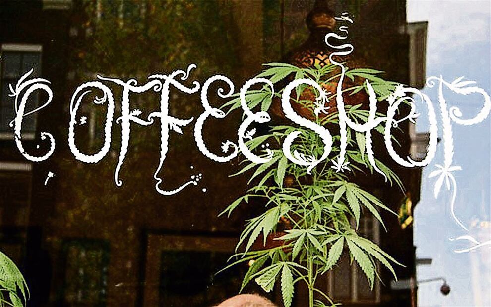 Una planta de marihuana en una coffee shop en Amsterdam. FOTO: EFE