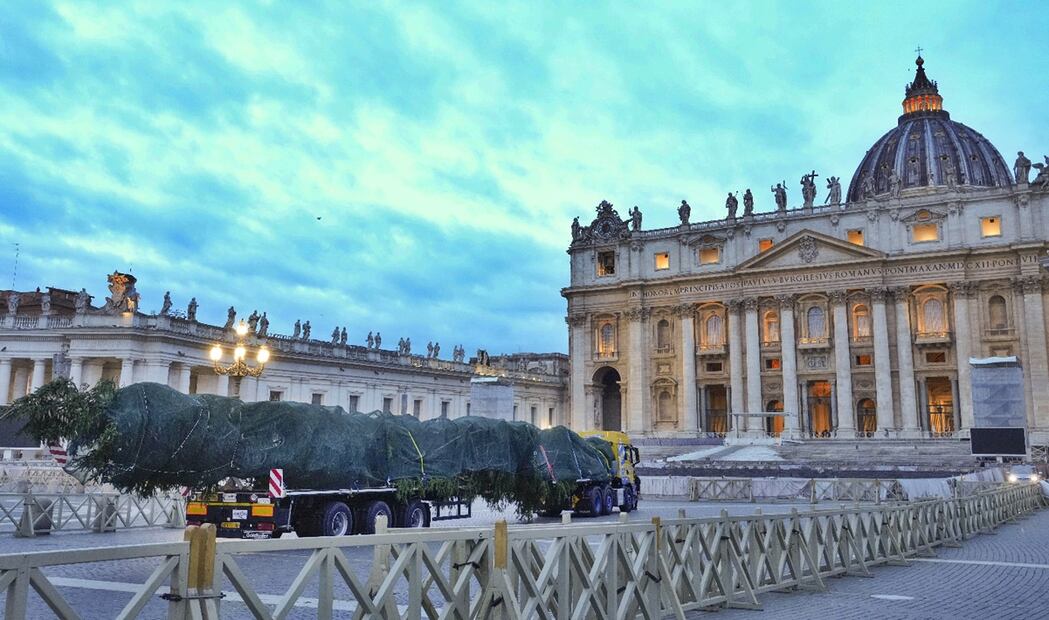 El majestuoso ejemplar se vio envuelto en una polémica desde el momento de su elección y más de 40 mil personas firmaron una petición popular para intentar evitar que el abeto destinado esta Navidad a la Plaza de San Pedro fuera talado. Foto: AP