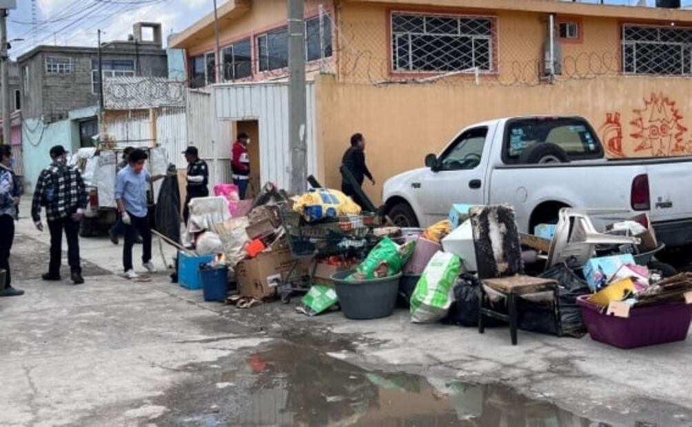 Rescatan a 39 perros y gatos hacinados en una casa en Toluca