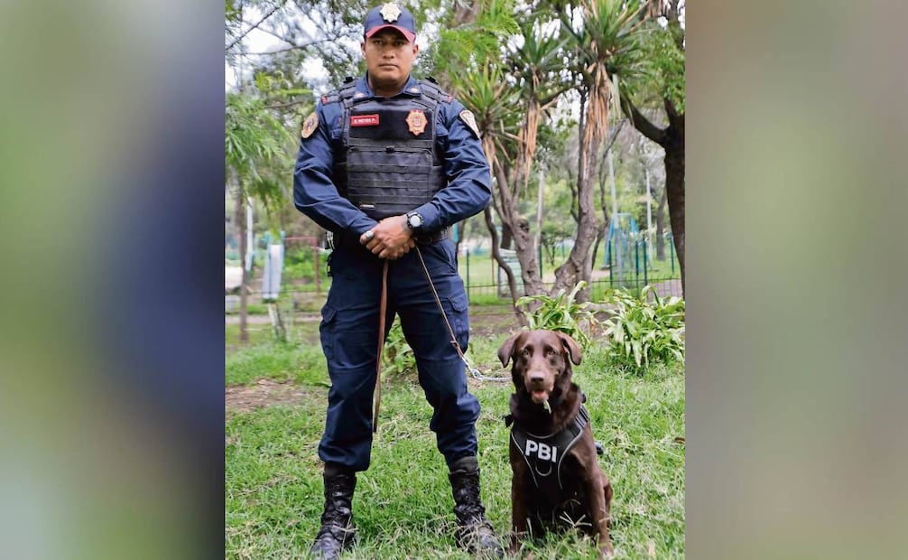A través de juegos y distintos ejercicios, Zory se prepara para identificar personas por medio del olfato y los sonidos, explica el suboficial Andrés de la Rosa. Foto: DIEGO SIMÓN SÁNCHEZ