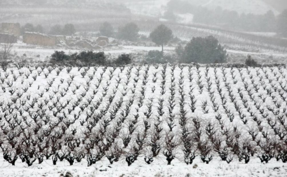 Nevada histórica genera caos y diversión en calles de Madrid, España
