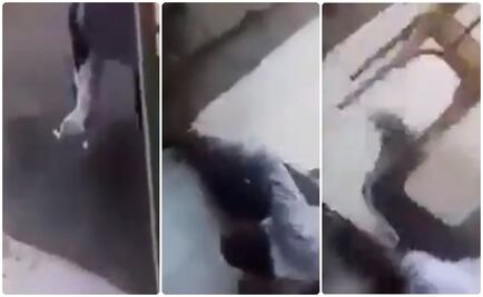 Video de gato atacando a alcalde de Culiacán... es fake news