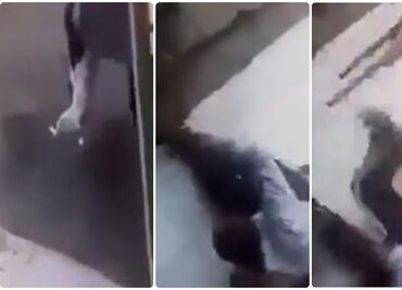 Video de gato atacando a alcalde de Culiacán... es fake news