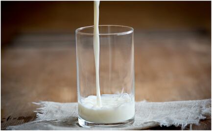 Aumento de insumos presionan precio de leche, productor pierde 1.50 pesos por litro: Femeleche