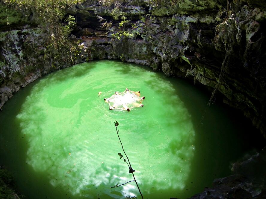 Los 7 Cenotes son una reserva ecológica de flora y fauna en Yucatán (Foto: Cortesía Los 7 Cenotes)