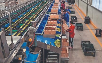 Inquieta a productores tener que asumir costo de la medida