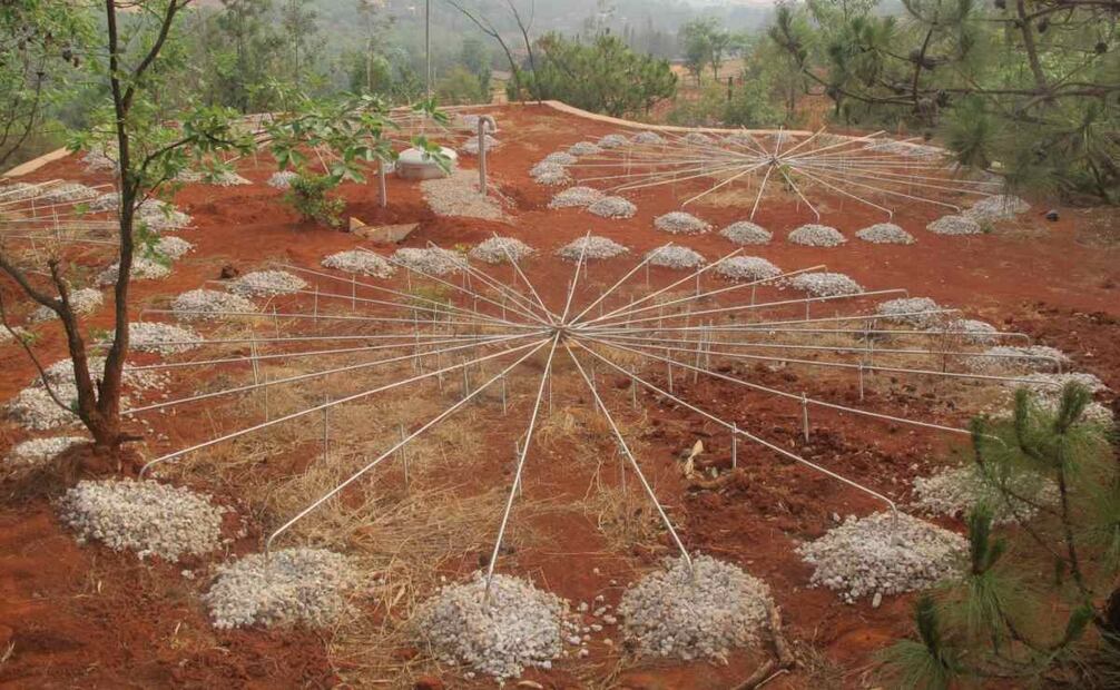 Cortesía: ctbto.org