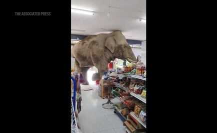 Tengo una trompa y sé cómo usarla: Elefante hambriento asalta una tienda en Tailandia en busca de comida; video se vuelve viral