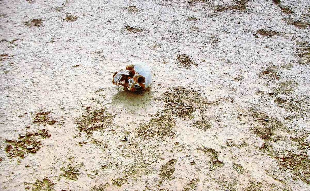 Las cifras de muertes de migrantes en su intento por cruzar la frontera han aumentado con el paso de los años. Foto: Especial.