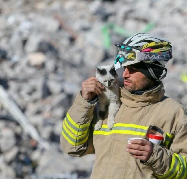 ¿Los mejores amigos? "Enkaz", gatito rescatado en Turquía, tiene nuevo dueño