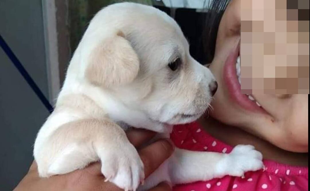 Victoria Guadalupe: Vecinos hacen velada para exigir justicia por la niña