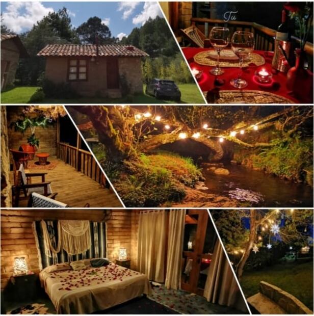 Conoce estas cabañas ecológicas inspiradas en mujeres, en un bosque de Puebla