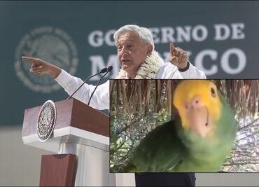 AMLO envía mensaje a los americanistas