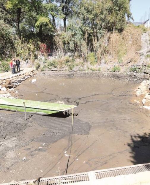 El Foco. Que no cunda el pánico, es hora de leer a Trump